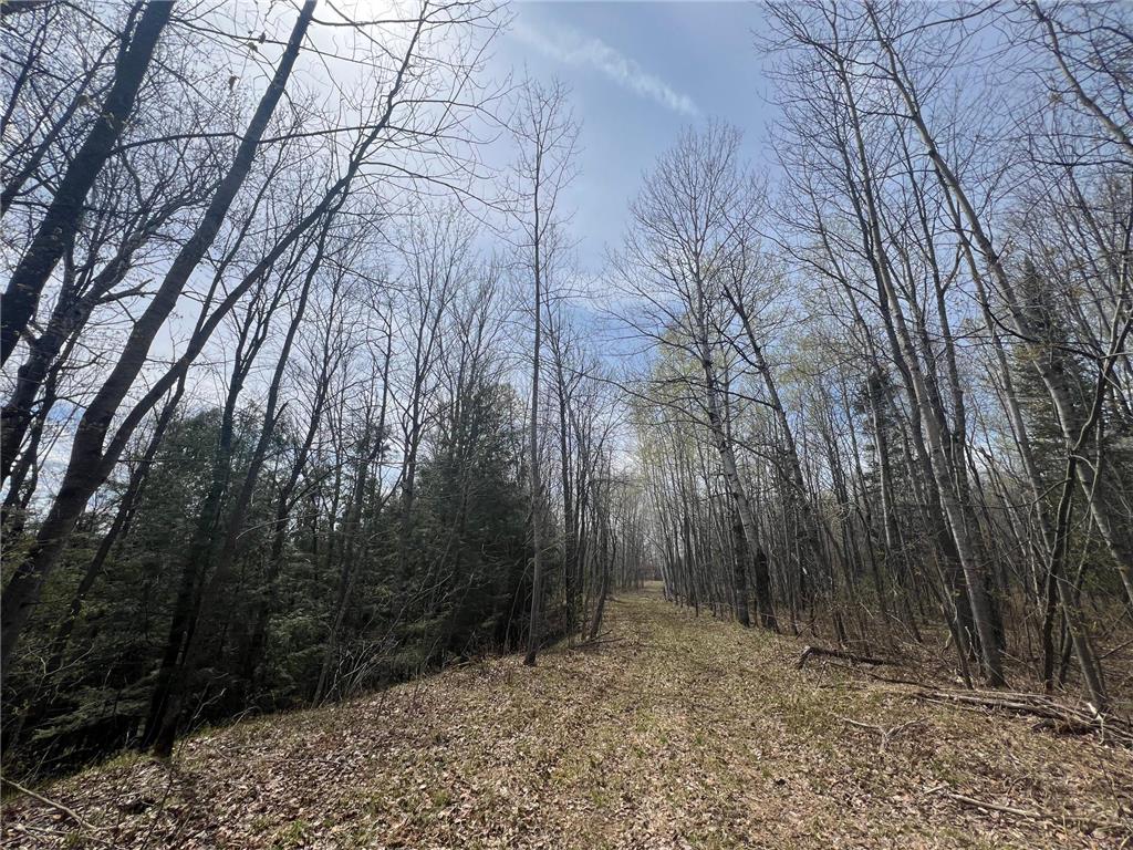 TBD Golf Course Road Morse Twp WI 54846 - Bad River 7026105 image8