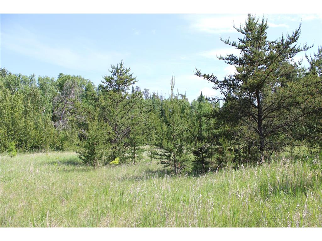 TBD Goranson Court NW Bemidji MN 56601 6738874 image1