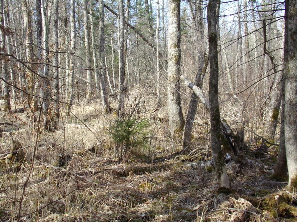 TBD Goshawk Street Mcgregor MN 55760 - Minnewawa Lake 7044877 image12