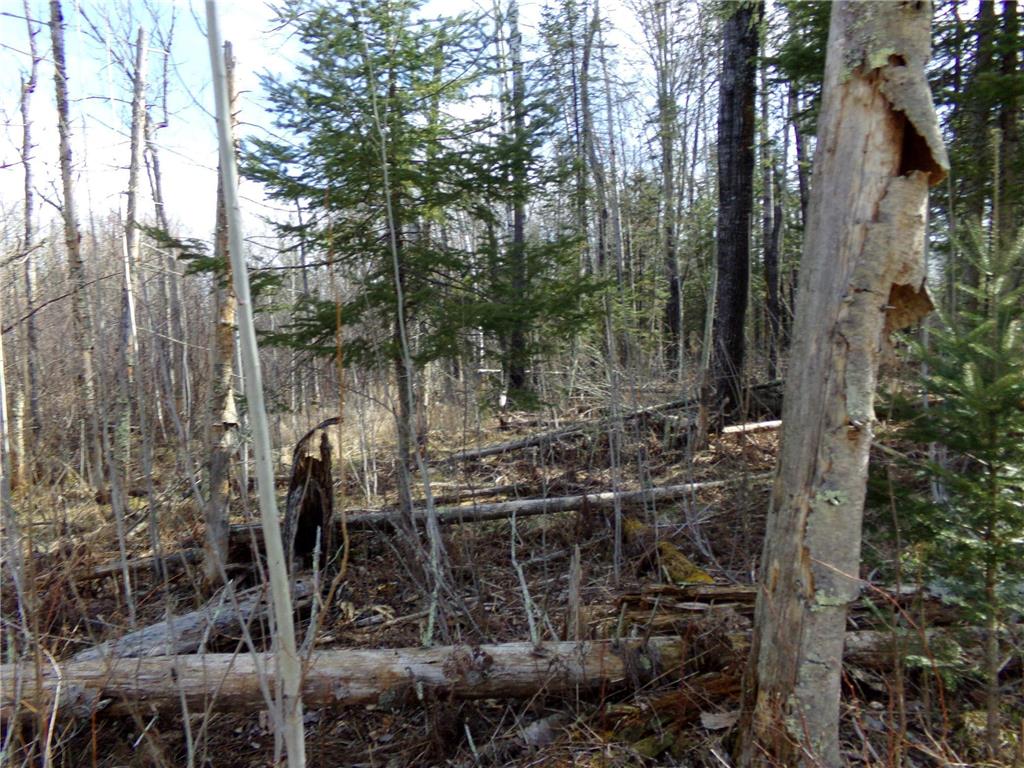 TBD Goshawk Street Mcgregor MN 55760 - Minnewawa Lake 7044877 image13