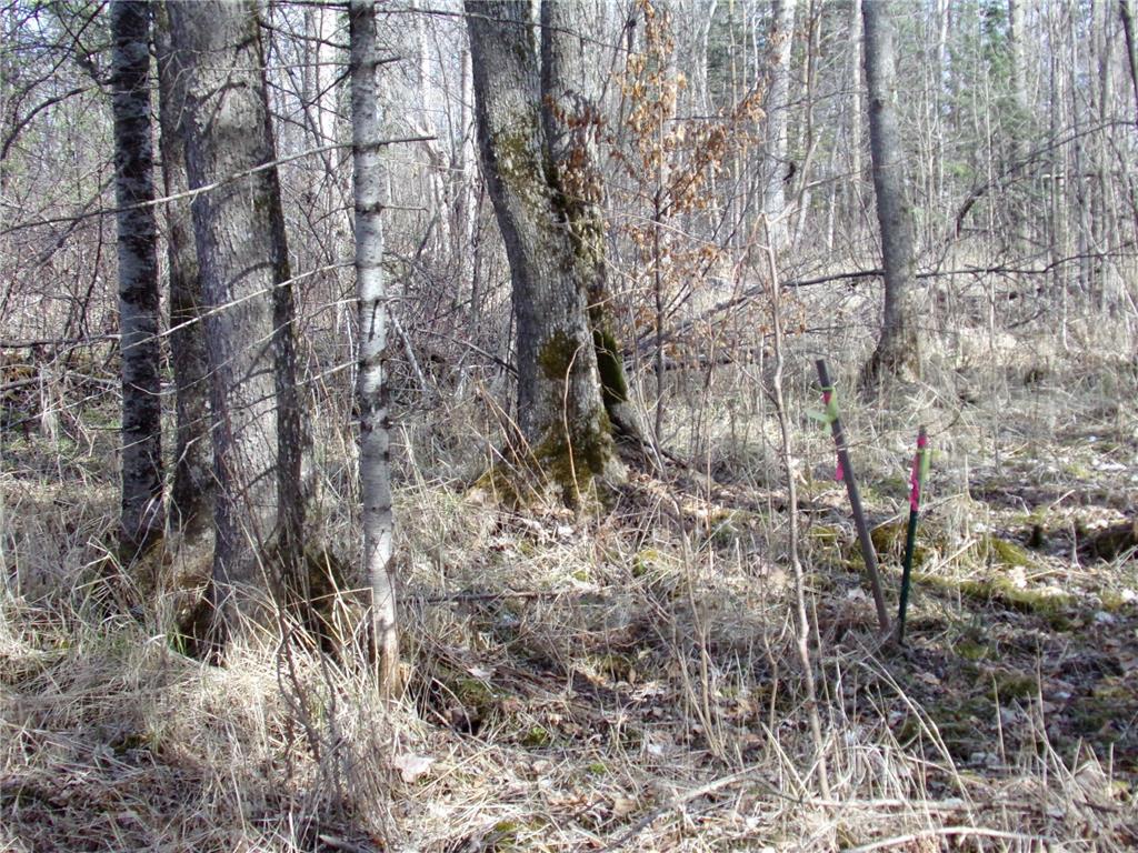 TBD Goshawk Street Mcgregor MN 55760 - Minnewawa Lake 7044877 image15