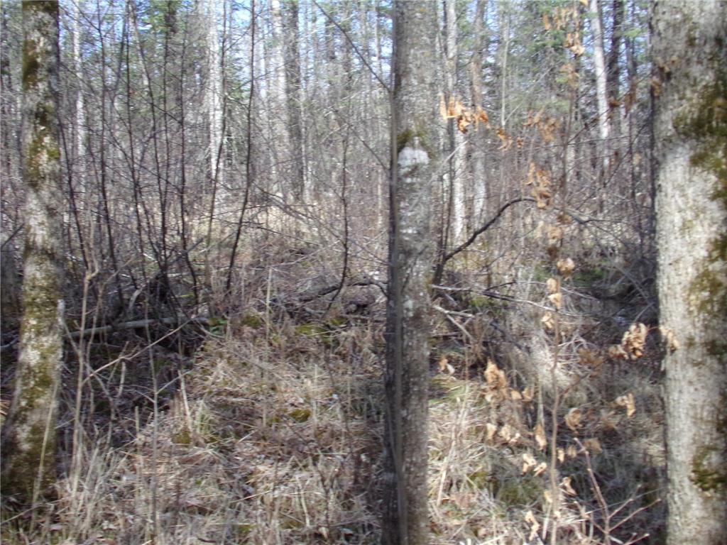 TBD Goshawk Street Mcgregor MN 55760 - Minnewawa Lake 7044877 image16