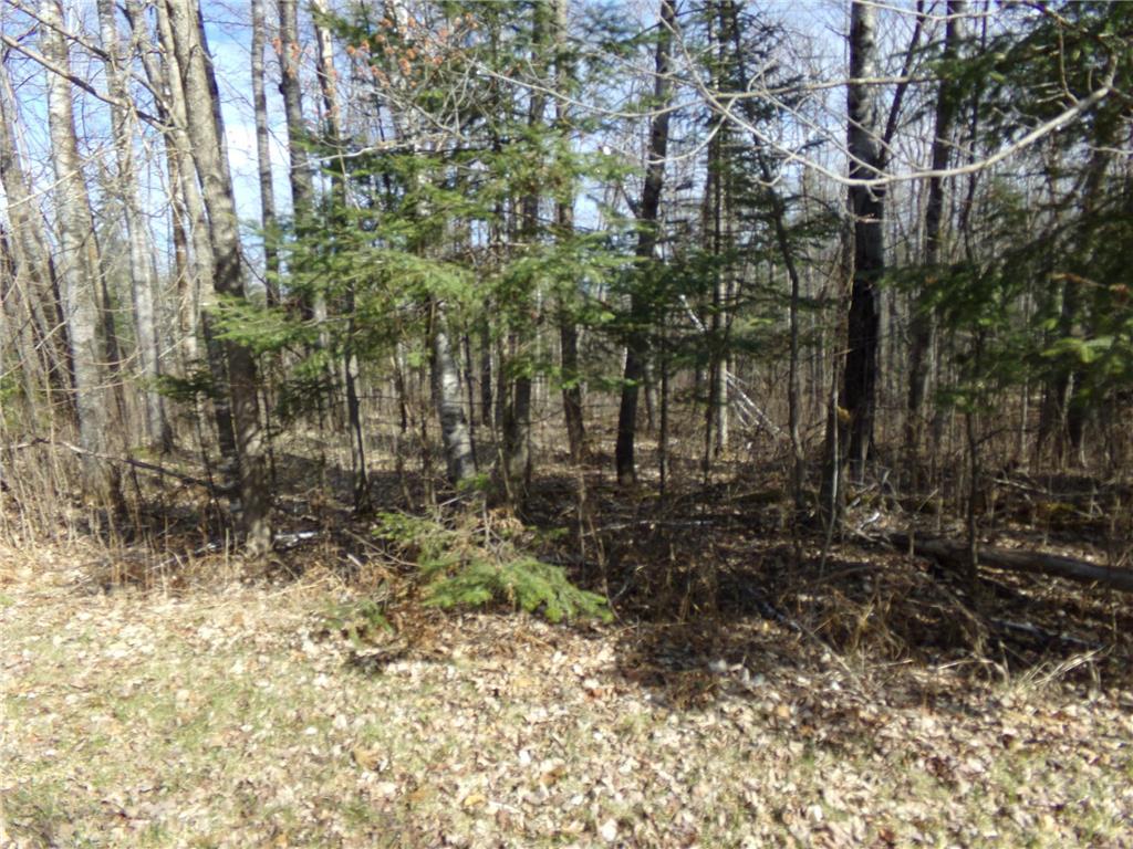 TBD Goshawk Street Mcgregor MN 55760 - Minnewawa Lake 7044877 image4