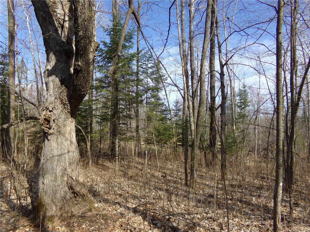 TBD Goshawk Street Mcgregor MN 55760 - Minnewawa Lake 7044877 image6