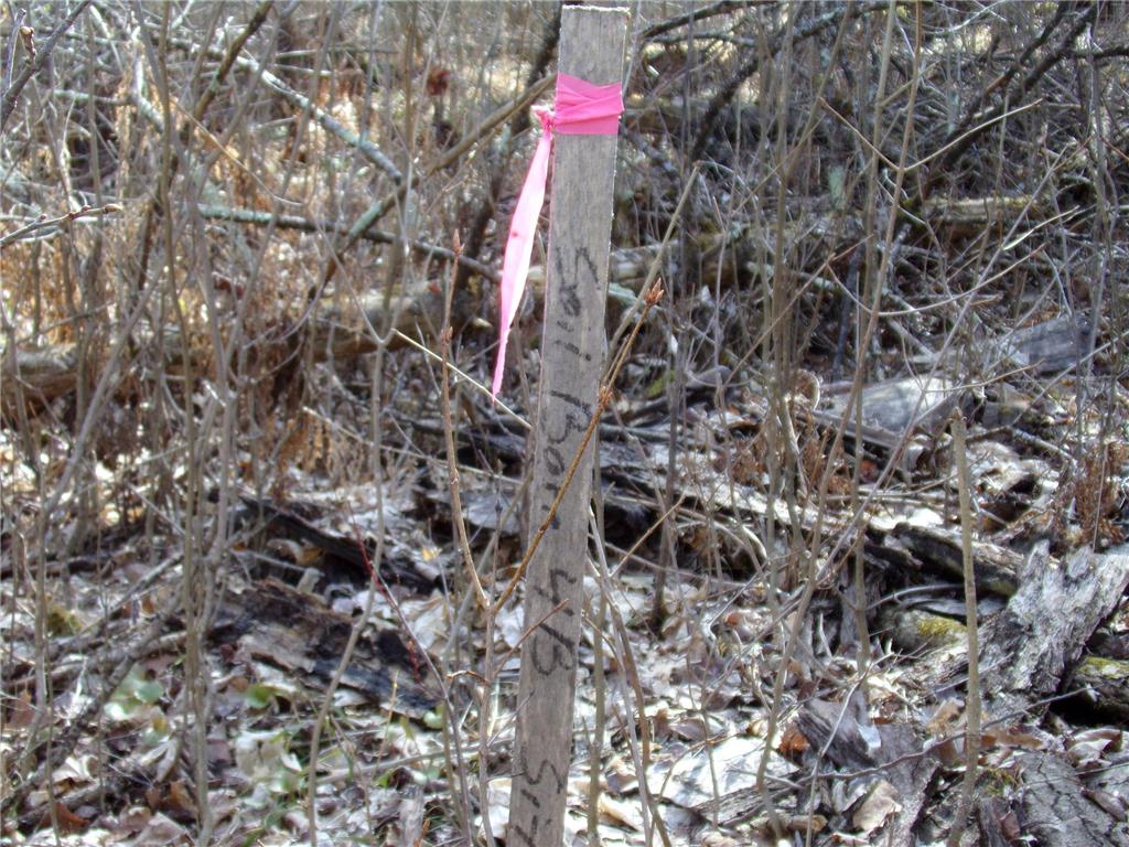 TBD Goshawk Street Mcgregor MN 55760 - Minnewawa Lake 7044877 image7