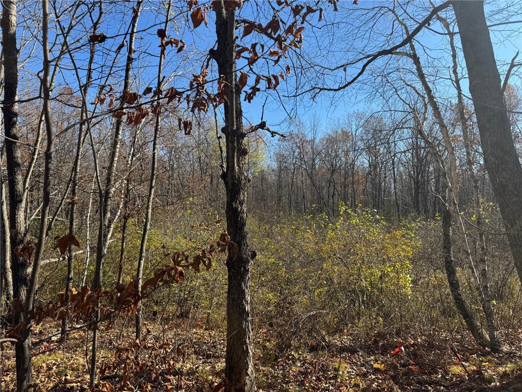 TBD Grace Lake Road Sandstone MN 55072 - Stevens Lake 6806719 image3