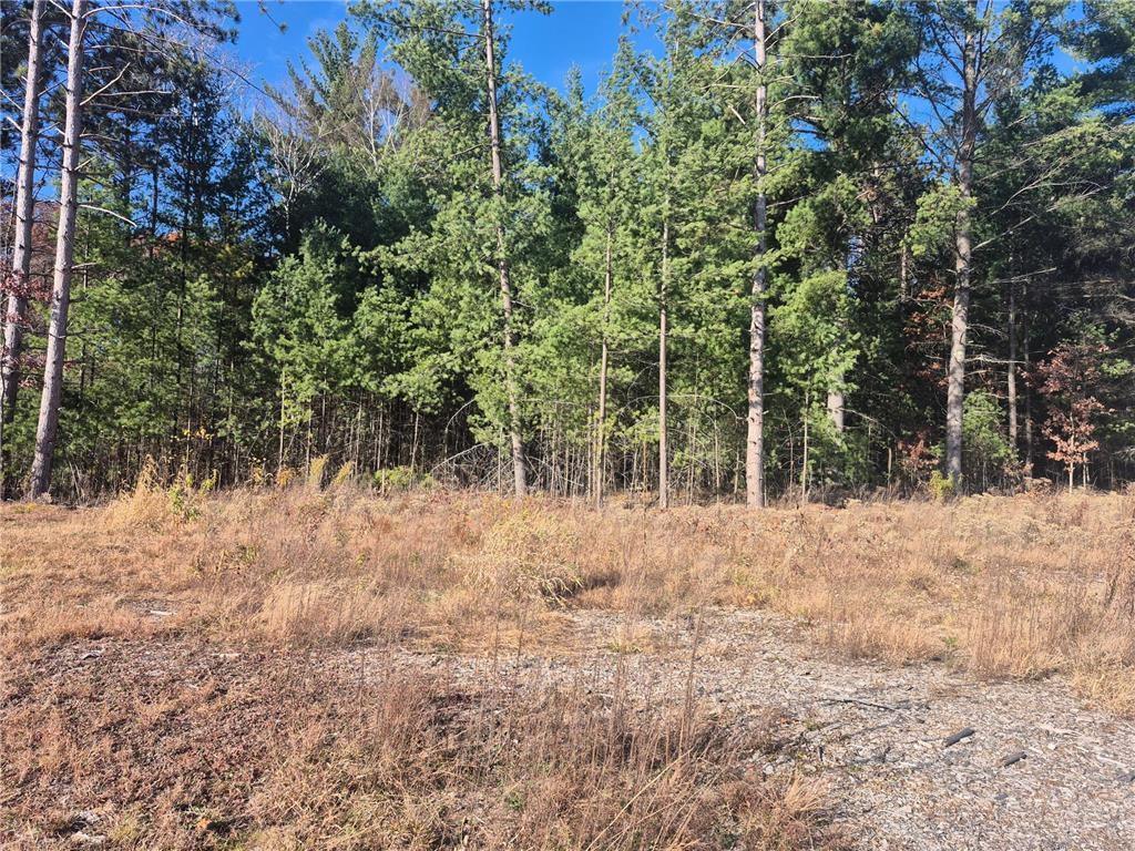 TBD Grand Avenue Stacy MN 55079 6810375 image2