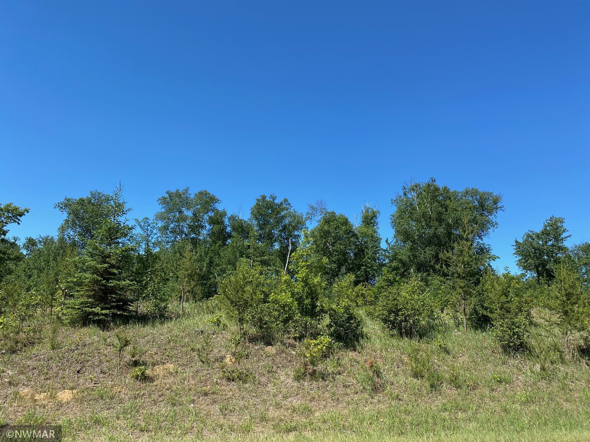 TBD (L10B2) Grant Hills Road SW Bemidji MN 56601 5734016 image1