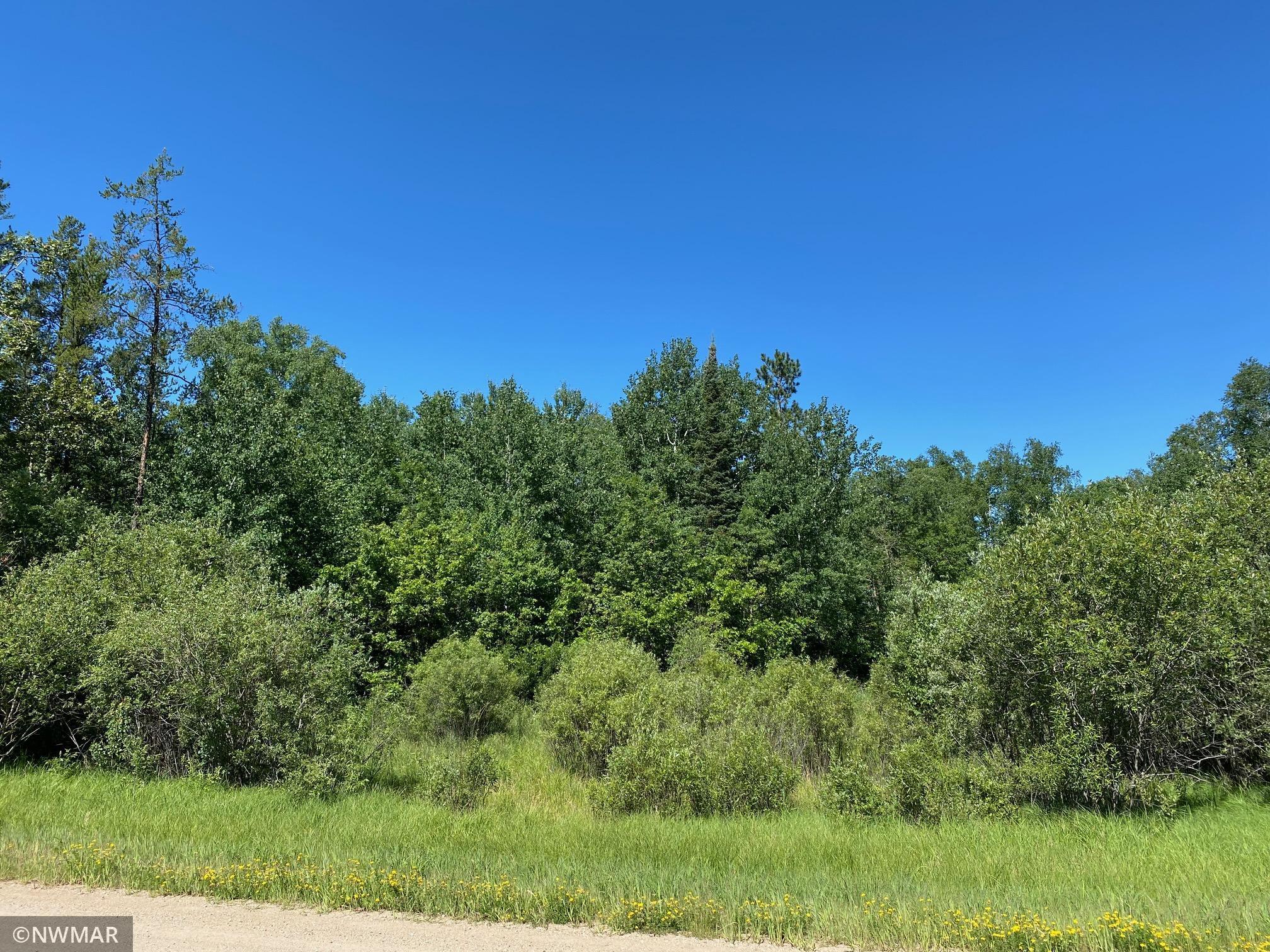 TBD (L11B2) Grant Hills Road SW Bemidji MN 56601 5734036 image1