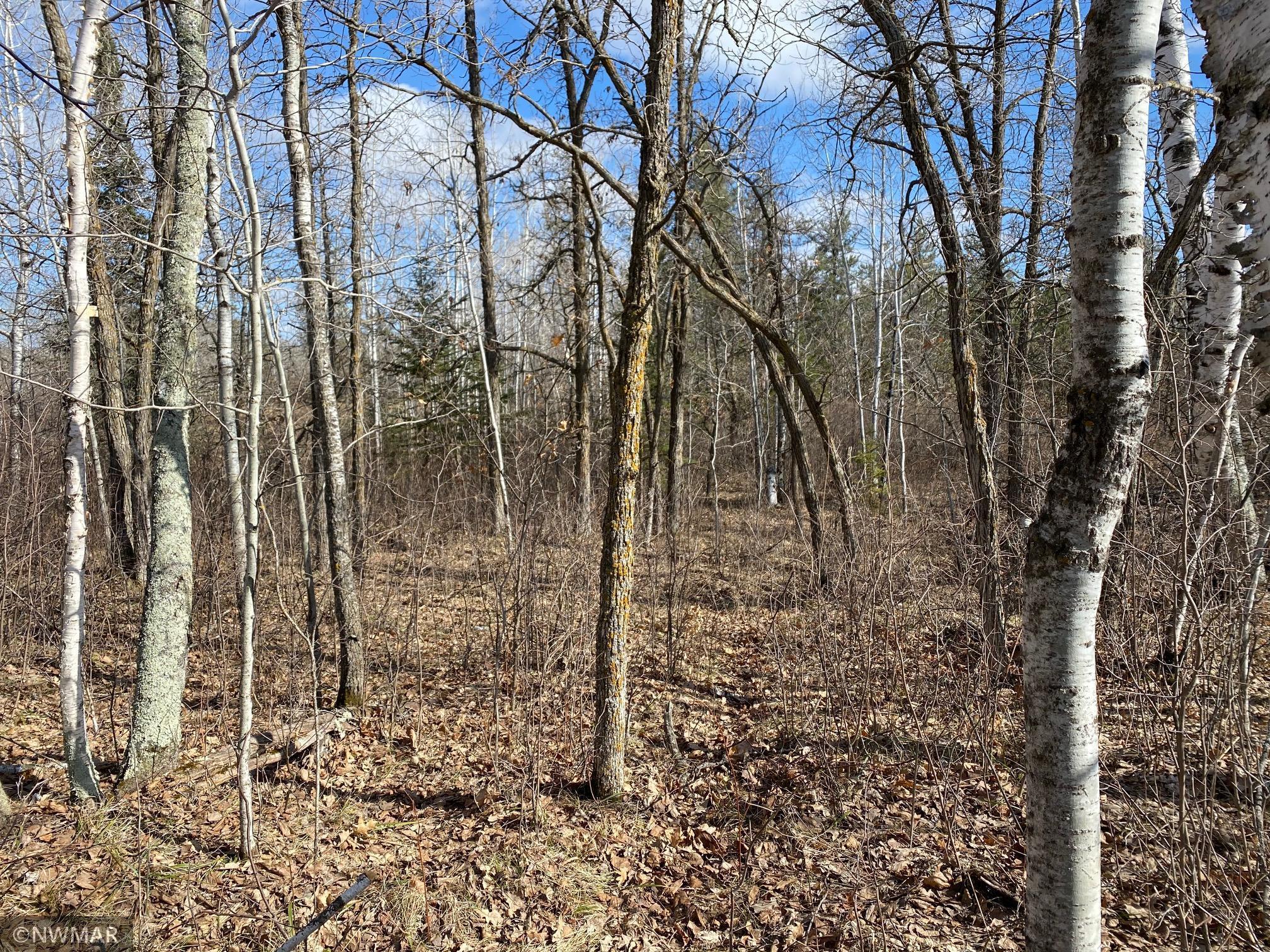 TBD (L11B2) Grant Hills Road SW Bemidji MN 56601 5734036 image2