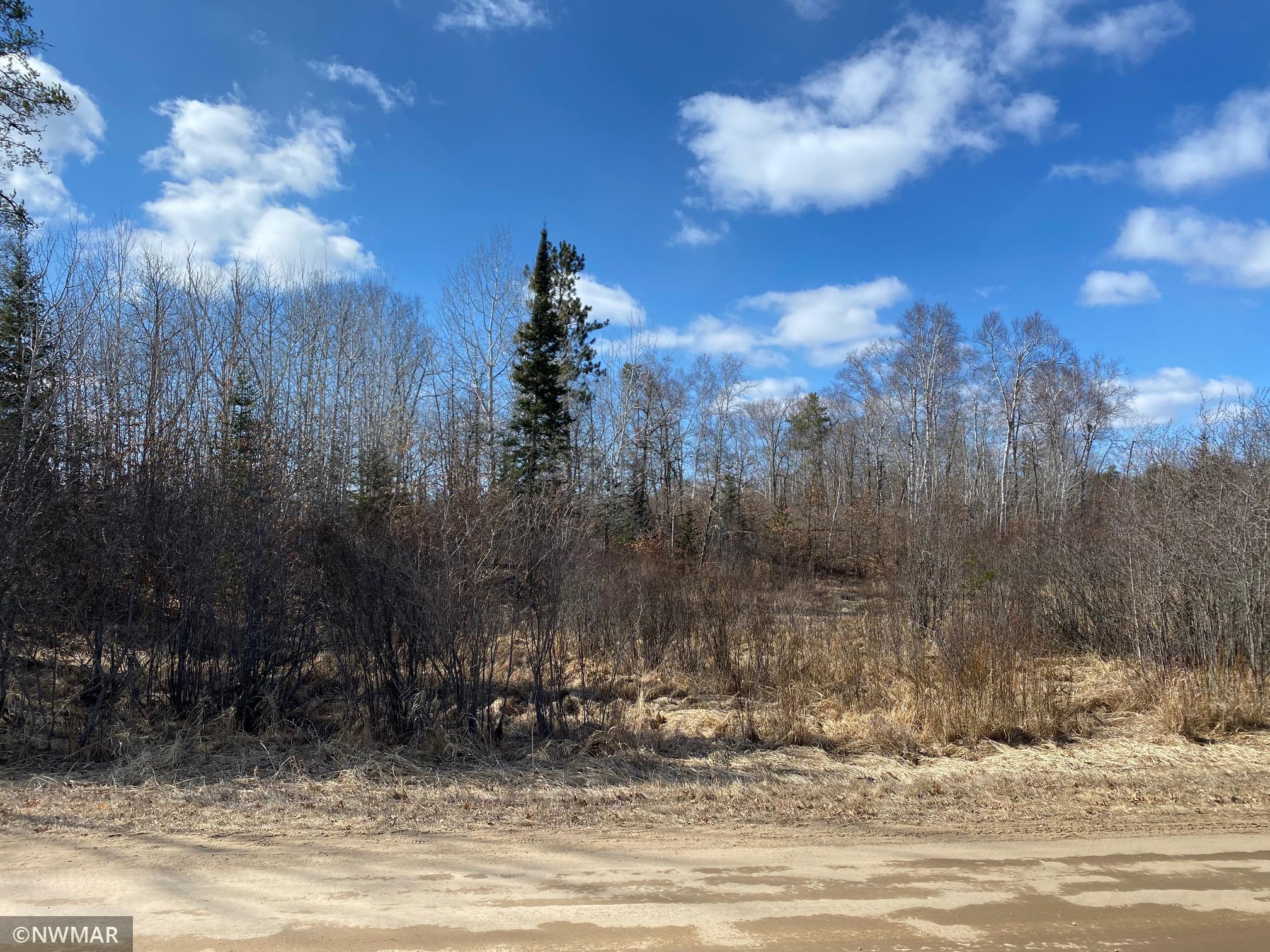 TBD (L11B2) Grant Hills Road SW Bemidji MN 56601 5734036 image3