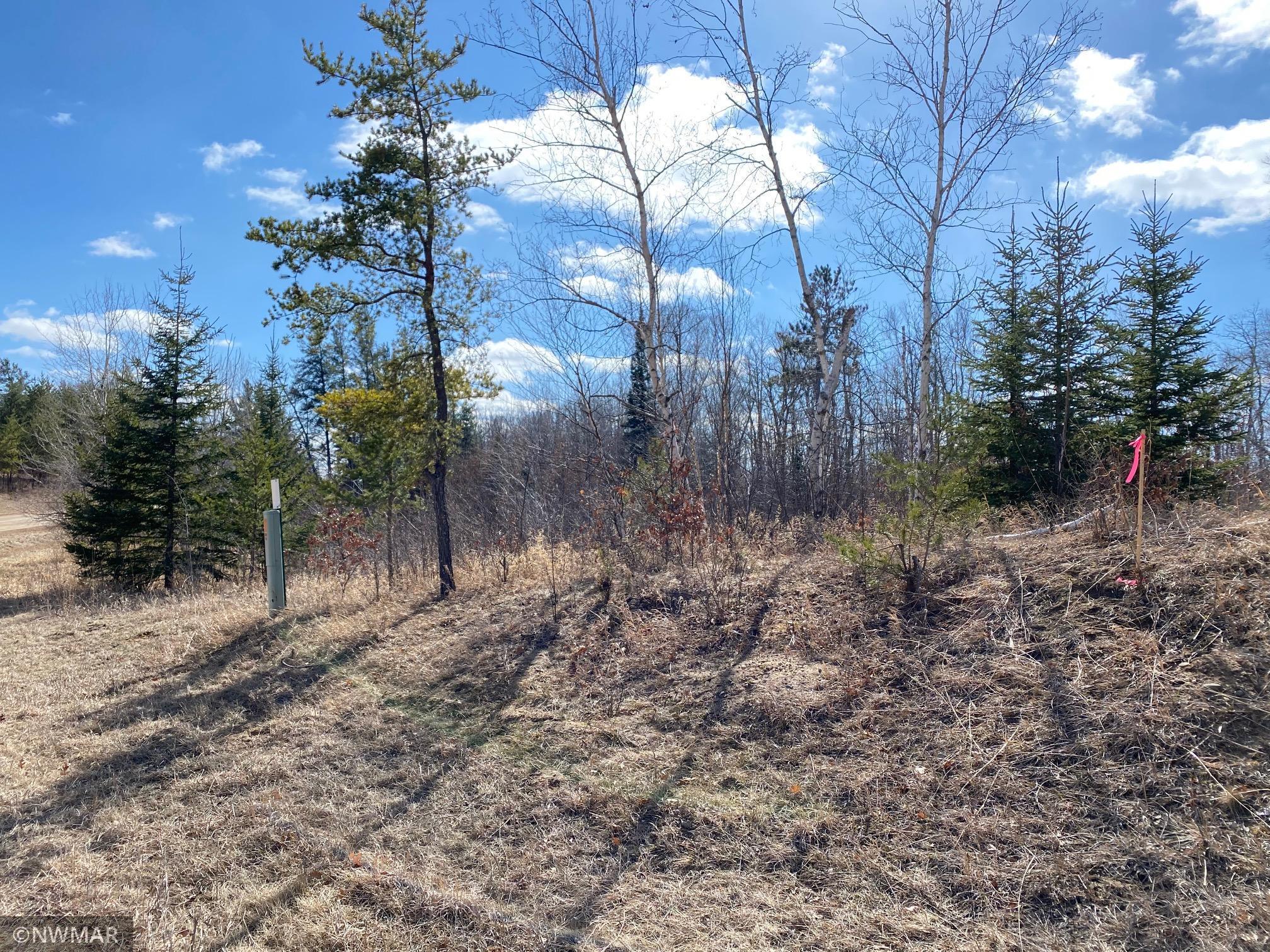 TBD (L11B2) Grant Hills Road SW Bemidji MN 56601 5734036 image4