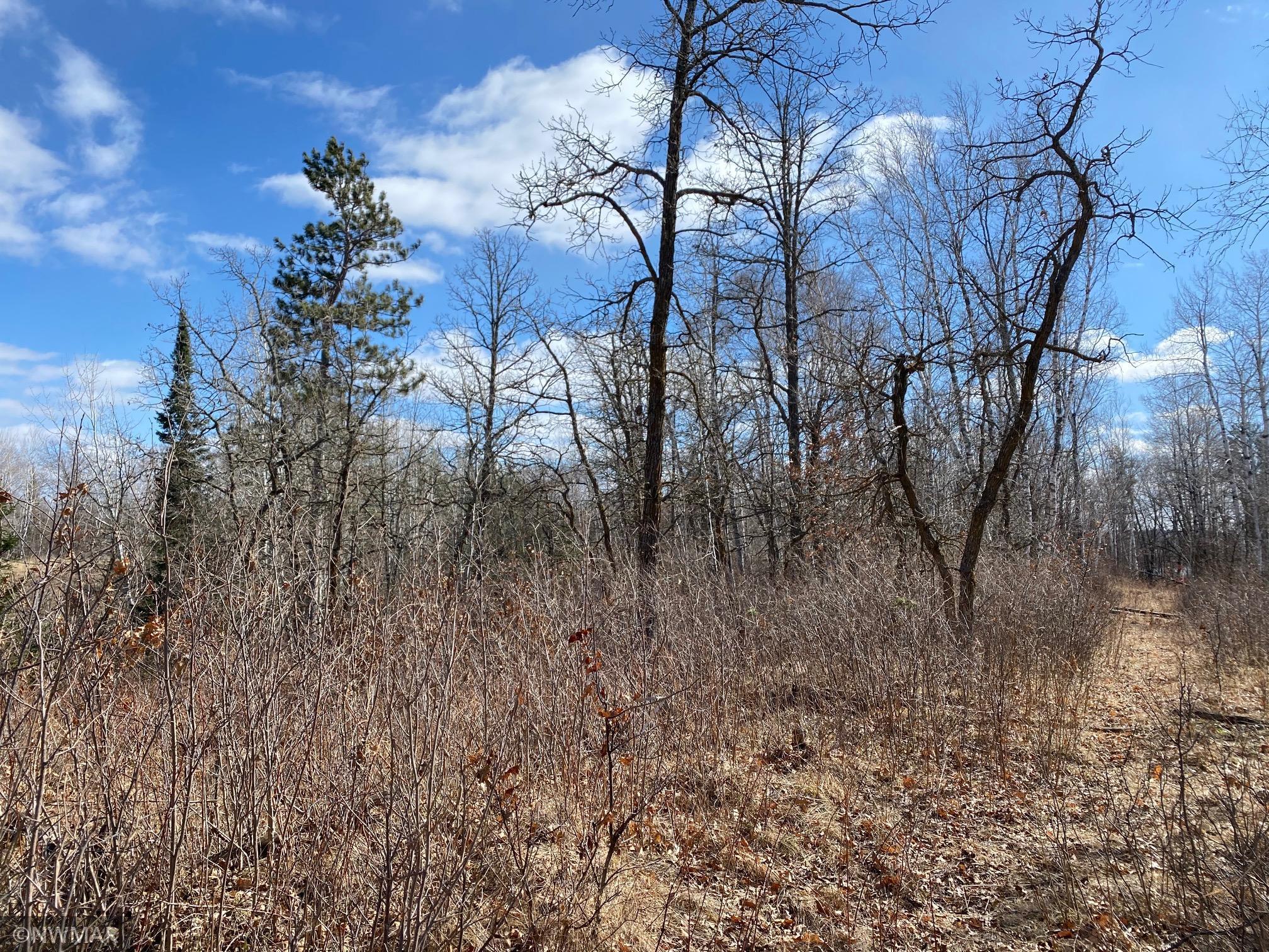 TBD (L11B2) Grant Hills Road SW Bemidji MN 56601 5734036 image5