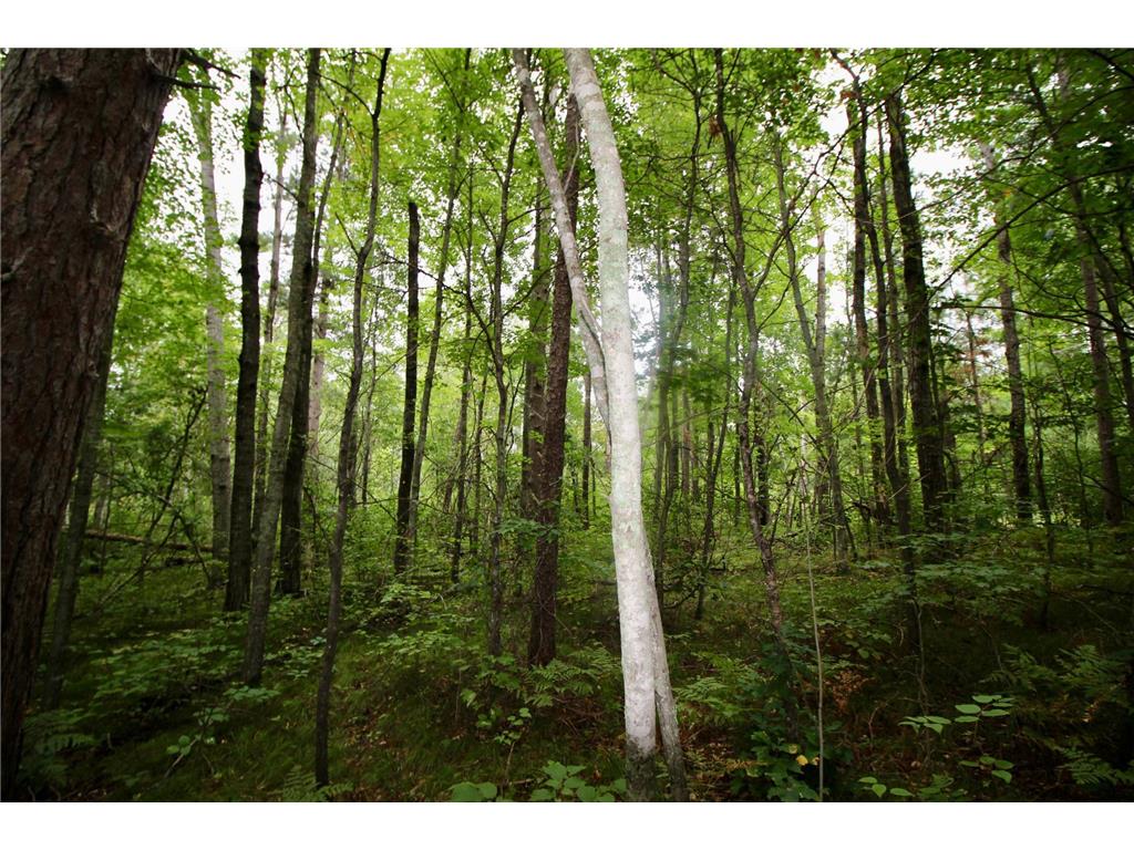 TBD Gravdahl Drive Pequot Lakes MN 56472 7000350 image14
