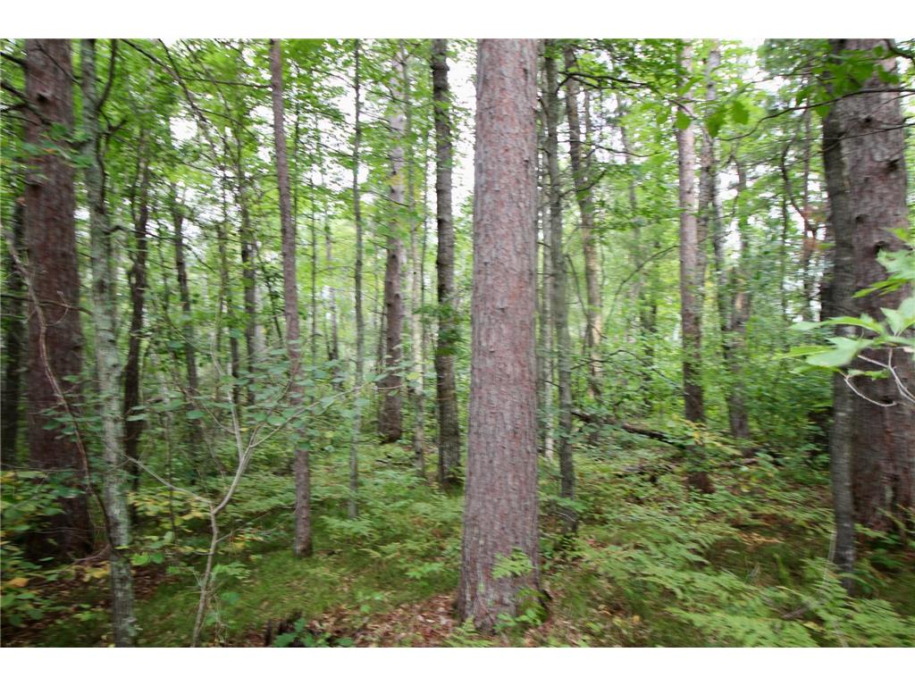 TBD Gravdahl Drive Pequot Lakes MN 56472 7000350 image4