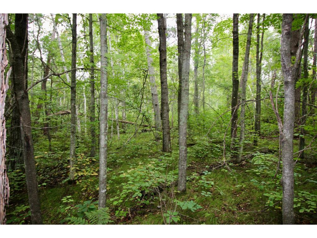 TBD Gravdahl Drive Pequot Lakes MN 56472 7000350 image5