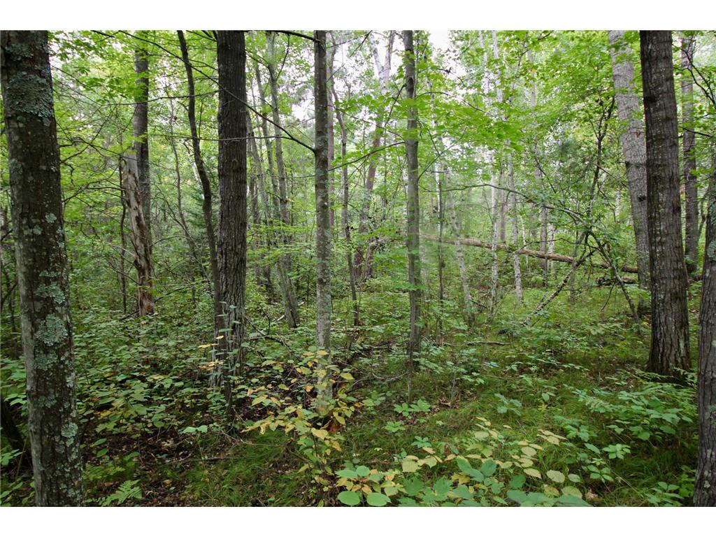 TBD Gravdahl Drive Pequot Lakes MN 56472 7000350 image6