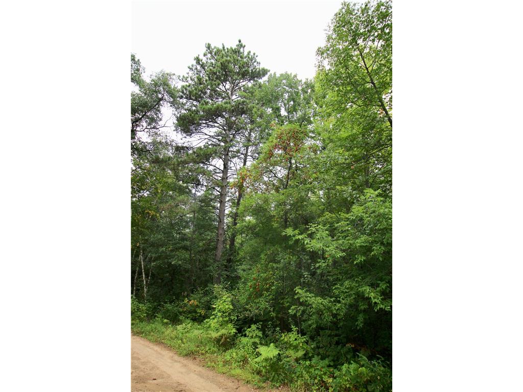 TBD Gravdahl Drive Pequot Lakes MN 56472 7000350 image8
