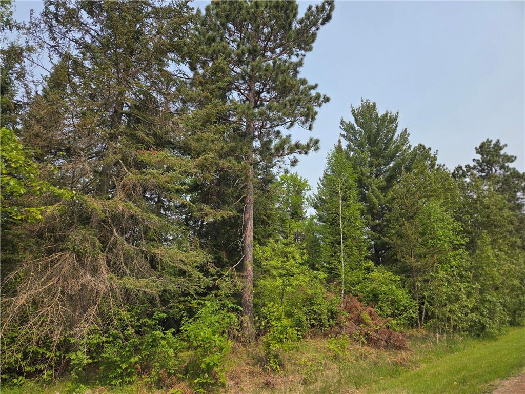 TBD Graycalm Court SE Bemidji Twp MN 56601 6730081 image1