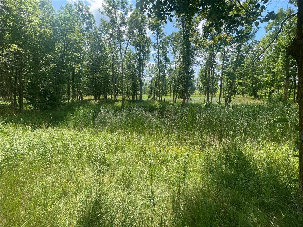 TBD Great Divide Road NW Durand Twp MN 56667 - Puposky 6784728 image33