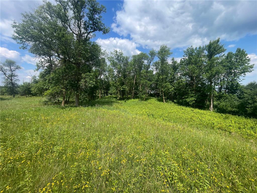 TBD Great Divide Road NW Durand Twp MN 56667 - Puposky 6784728 image37