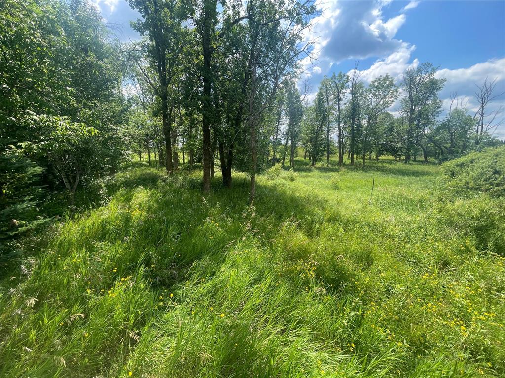 TBD Great Divide Road NW Durand Twp MN 56667 - Puposky 6784728 image39
