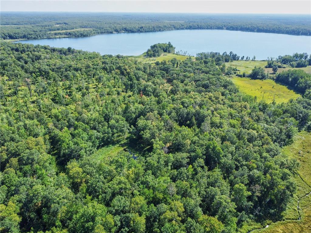 TBD Greer Lake Road Fairfield Twp MN 56441 - Adney 6788365 image22