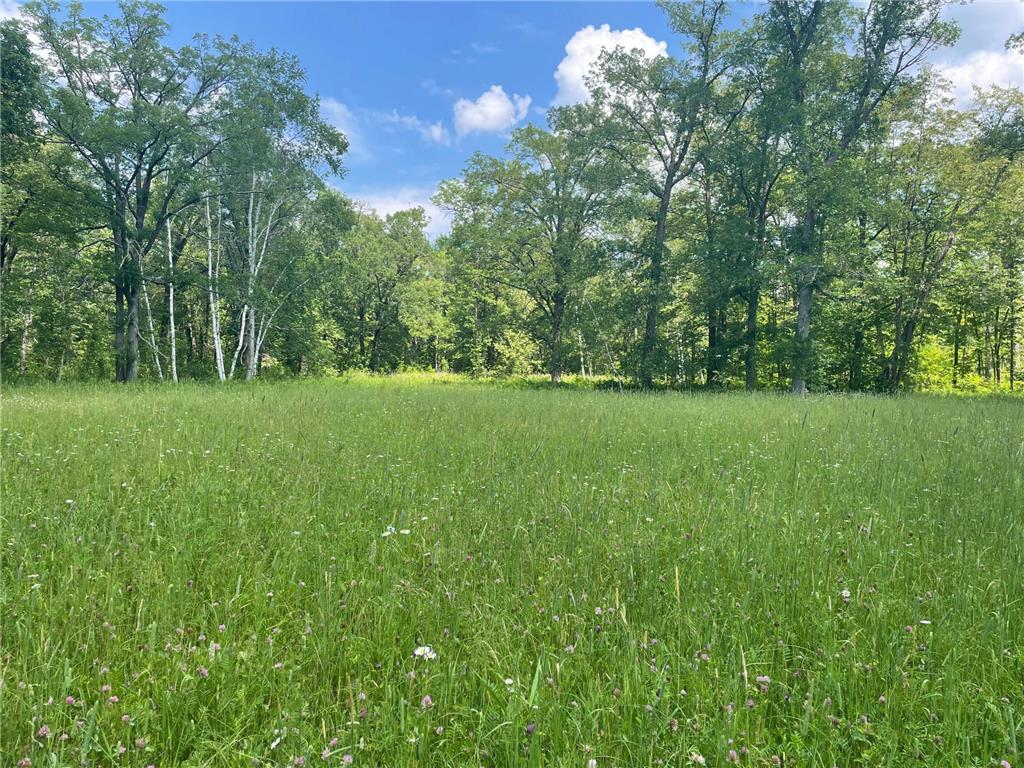 TBD Greer Lake Road Fairfield Twp MN 56441 - Adney 6788365 image24