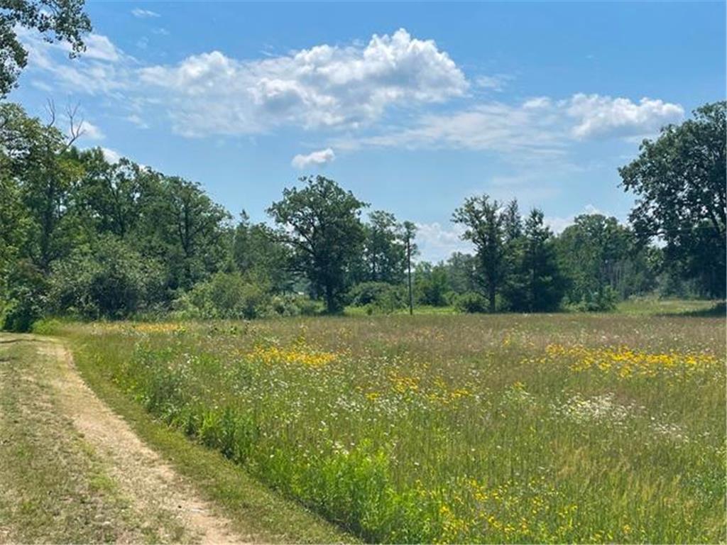 TBD Greer Lake Road Fairfield Twp MN 56441 - Adney 6788365 image8