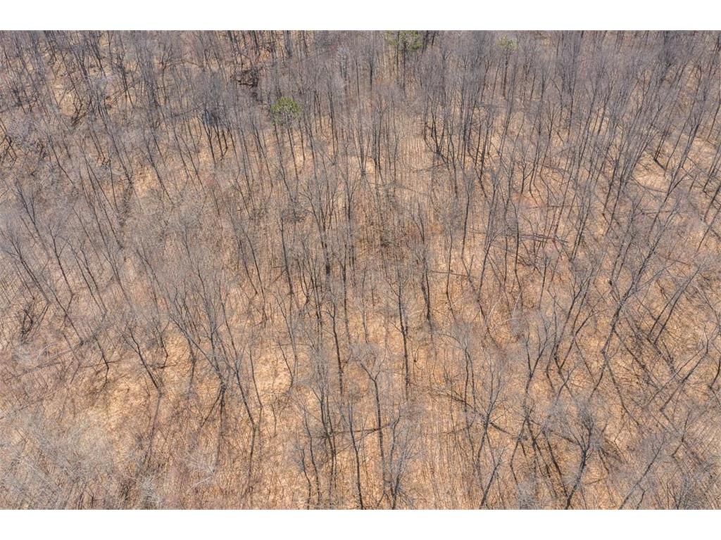 TBD Gregory Drive SW Sylvan Twp MN 56473 - Sylvan 6364246 image10