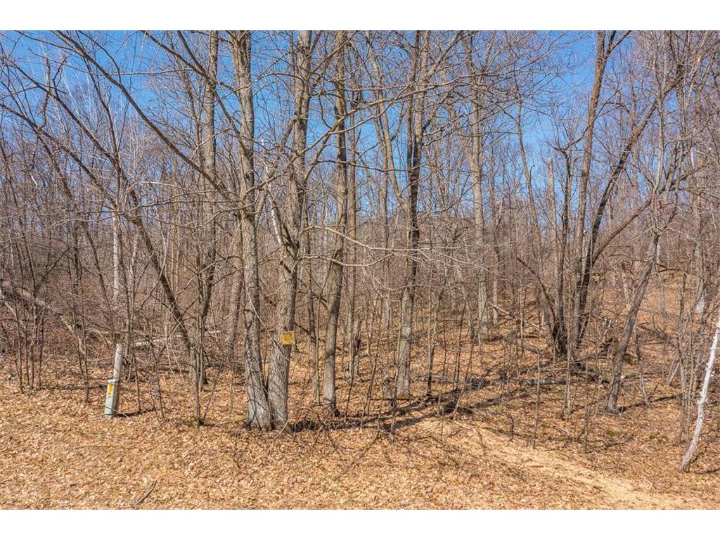 TBD Gregory Drive SW Sylvan Twp MN 56473 - Sylvan 6364246 image14