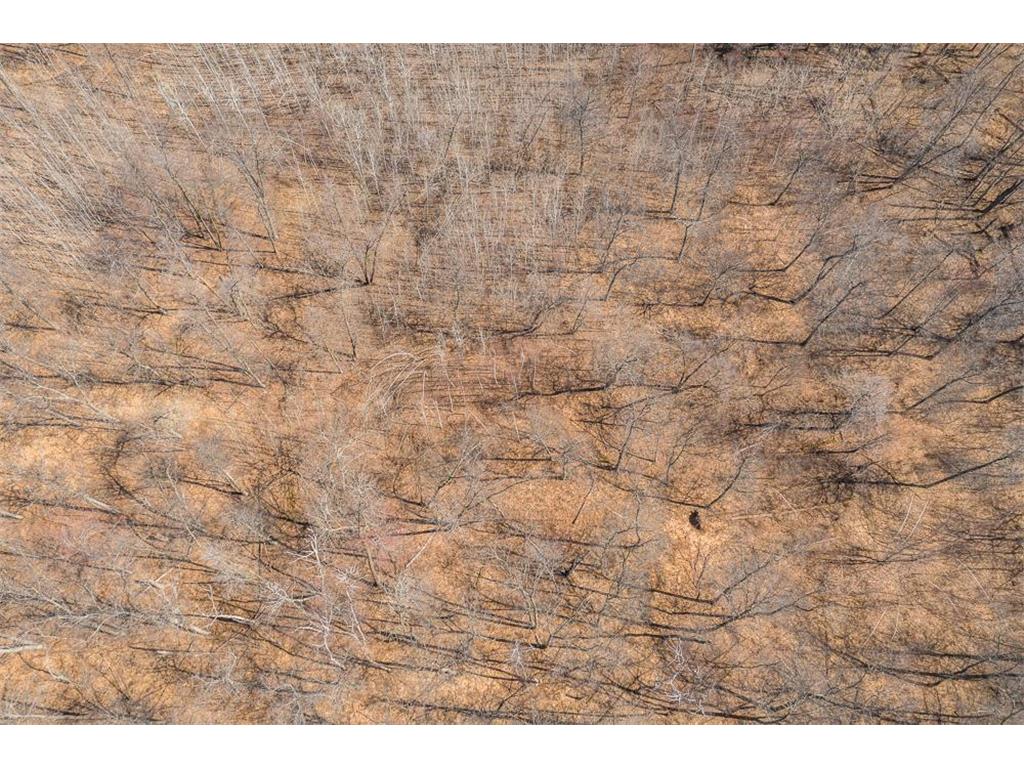 TBD Gregory Drive SW Sylvan Twp MN 56473 - Sylvan 6364246 image29