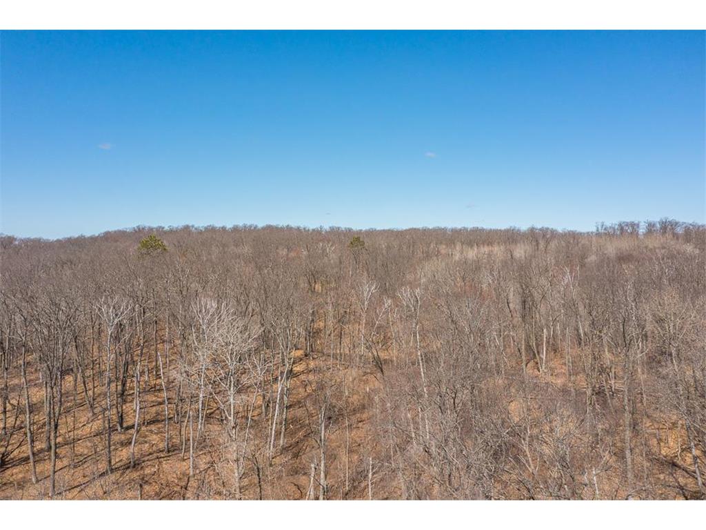 TBD Gregory Drive SW Sylvan Twp MN 56473 - Sylvan 6364246 image32