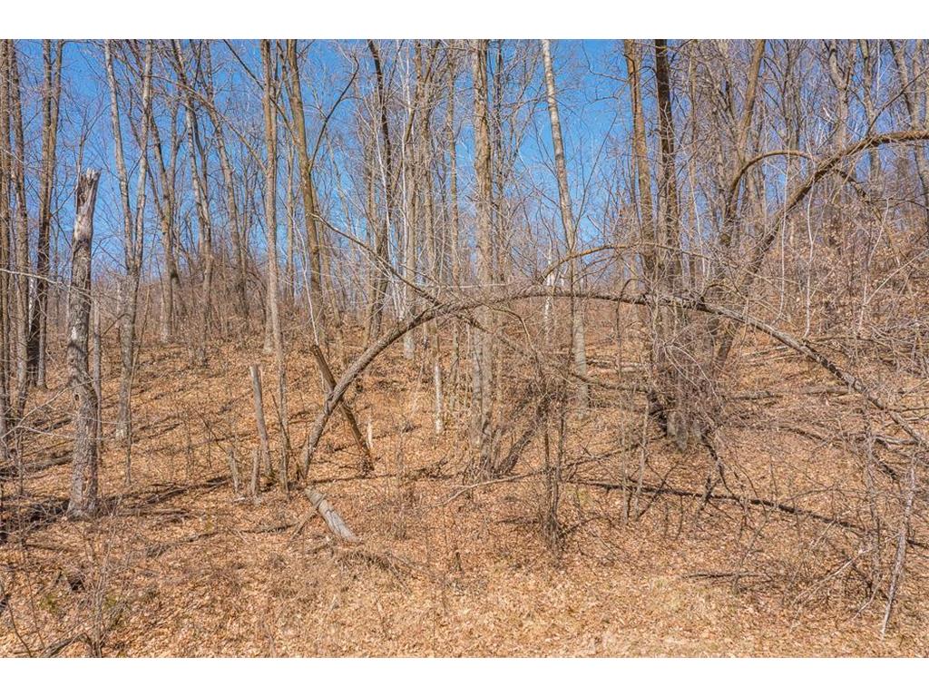 TBD Gregory Drive SW Sylvan Twp MN 56473 - Sylvan 6364246 image34