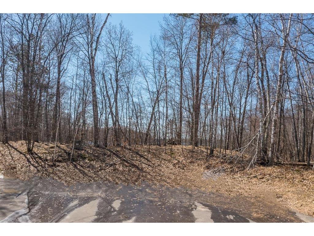 TBD Gregory Drive SW Sylvan Twp MN 56473 - Sylvan 6364246 image6