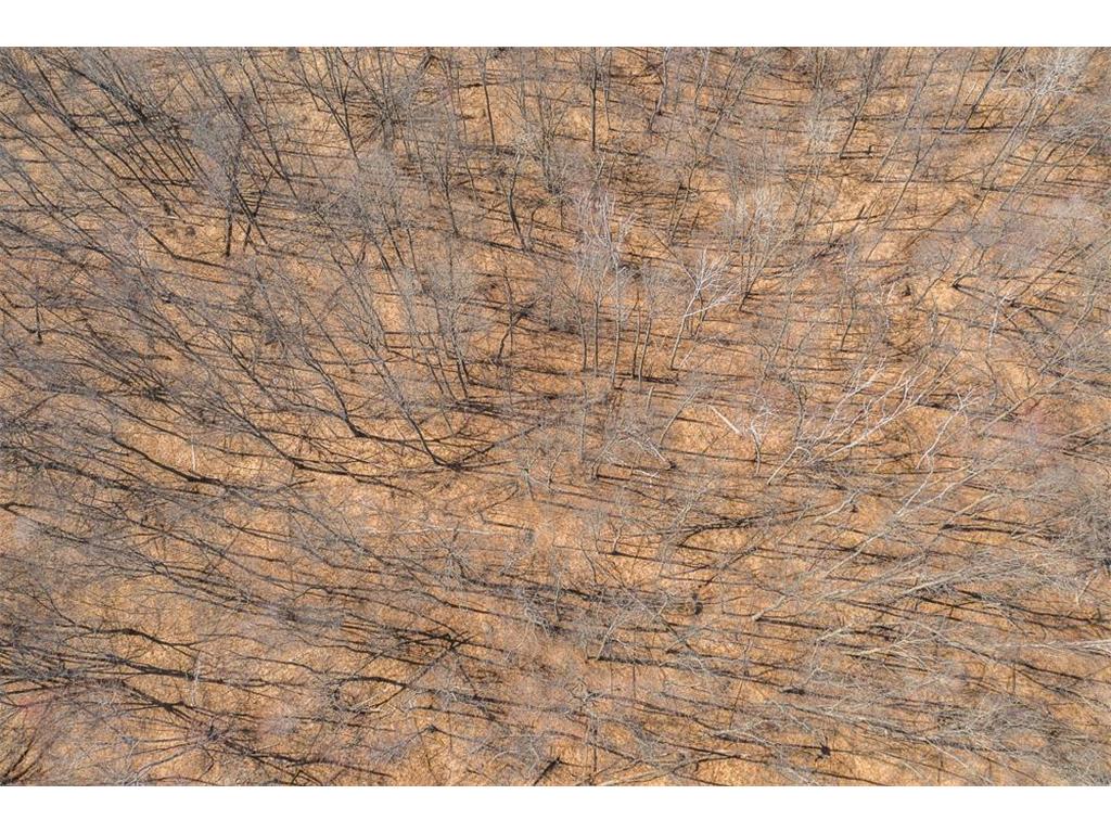 TBD Gregory Drive SW Sylvan Twp MN 56473 - Sylvan 6364246 image9