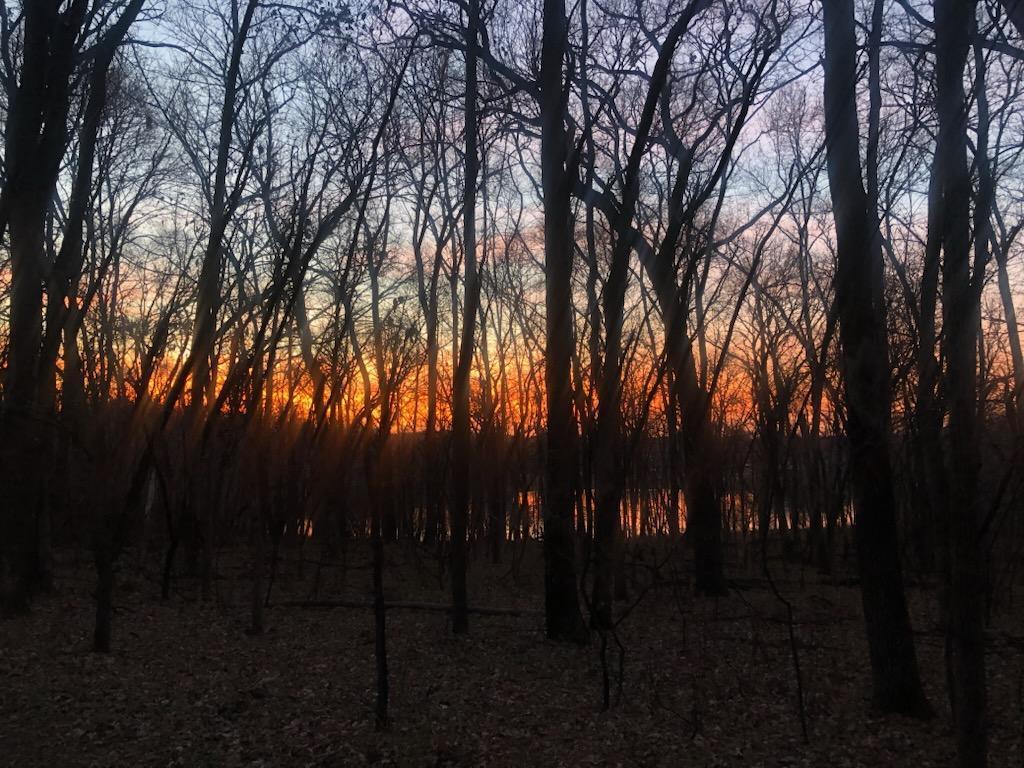 TBD Grey Cloud Trail S Cottage Grove MN 55016 - Mississippi 7044210 image25