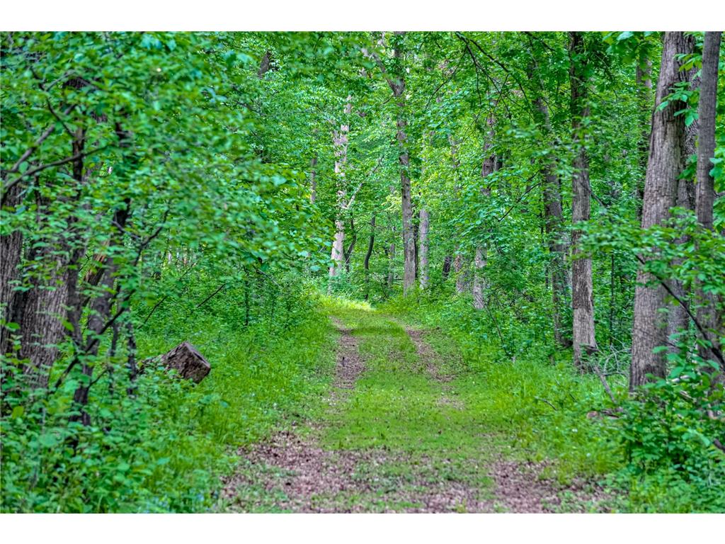 TBD Grey Cloud Trail S Cottage Grove MN 55016 - Mississippi 7044210 image9