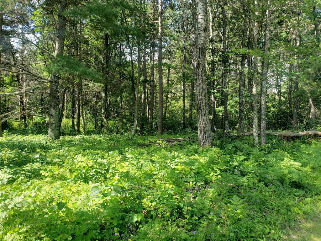 TBD Grouse Loop NW Walker MN 56484 - Leech Lake 6398044 image1