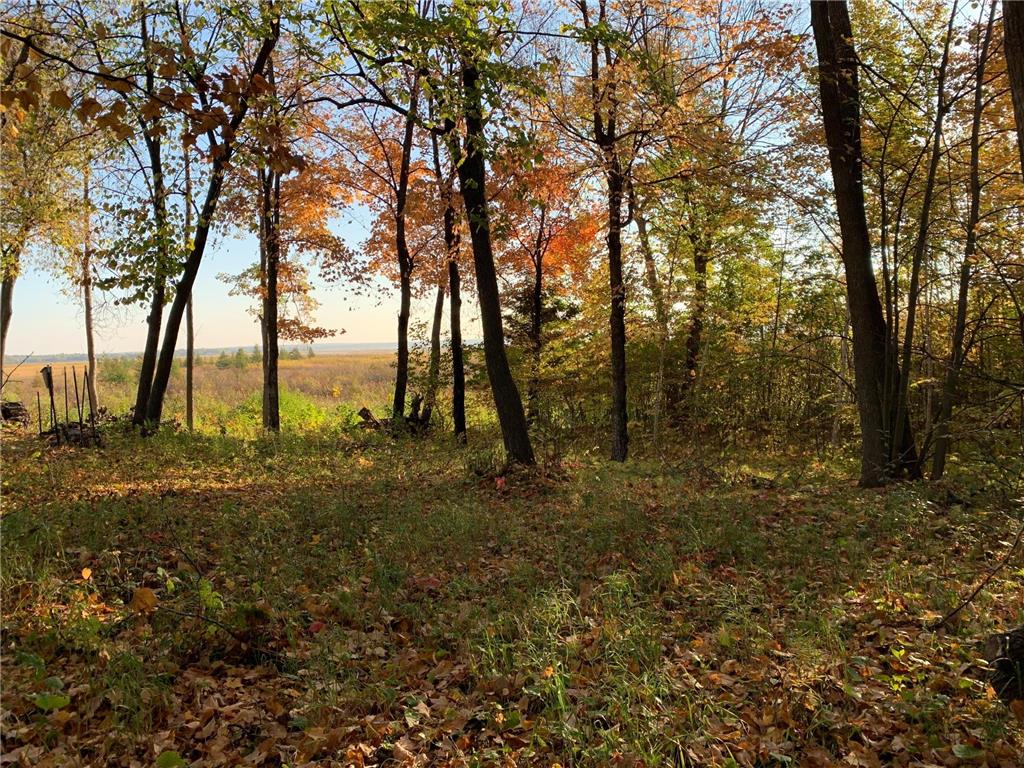 TBD Grouse Loop NW Walker MN 56484 - Leech Lake 7048719 image4