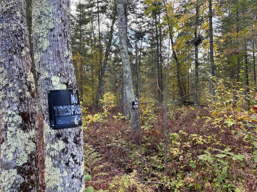 TBD Grove Street Palisade MN 56469 6793835 image1