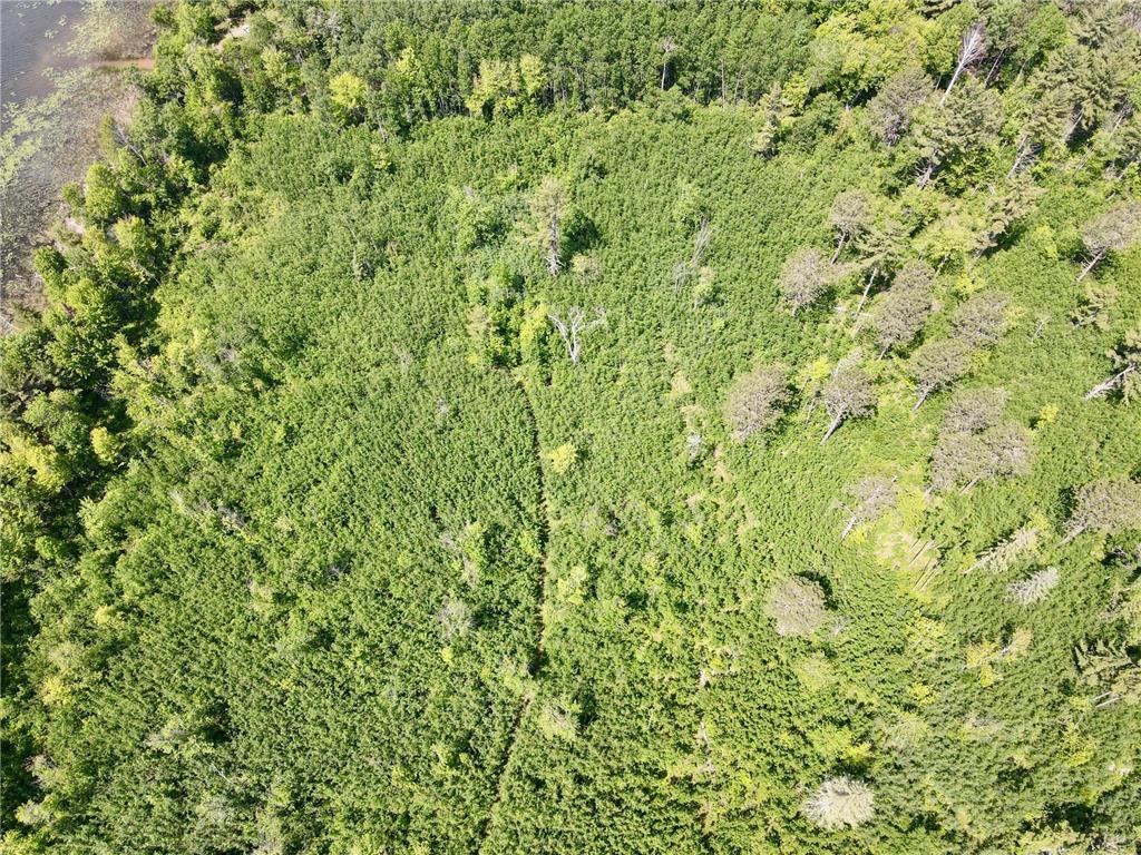 TBD Guile Lake Road Cohasset MN 55721 - Guile 6741248 image13