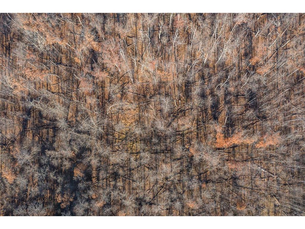 TBD Gull River Road East Gull Lake MN 56401 6814907 image12