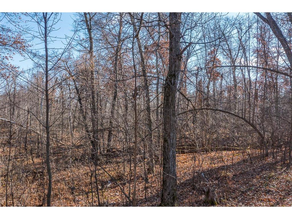 TBD Gull River Road East Gull Lake MN 56401 6814907 image19