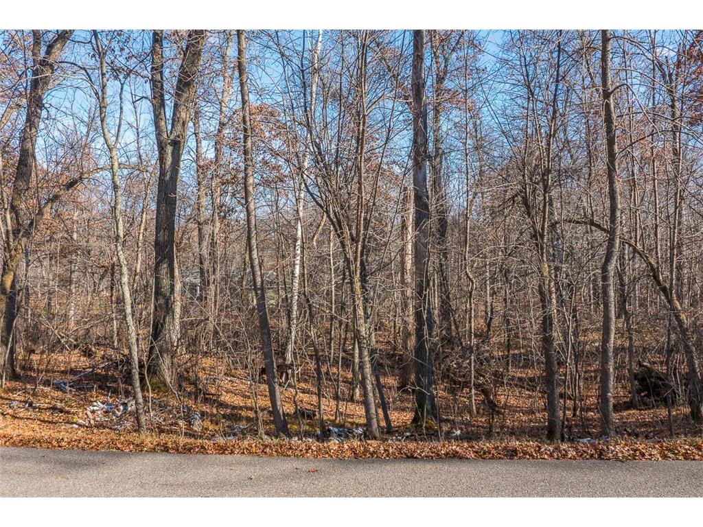 TBD Gull River Road East Gull Lake MN 56401 6814907 image4
