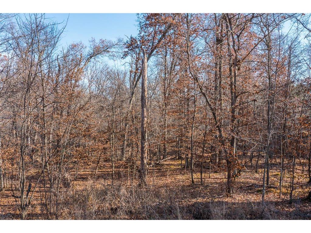 TBD Gull River Road East Gull Lake MN 56401 6814907 image7