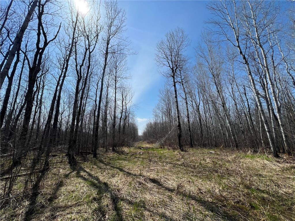 TBD Gulley Road Maple WI 54854 - Pearson Creek 7012529 image13