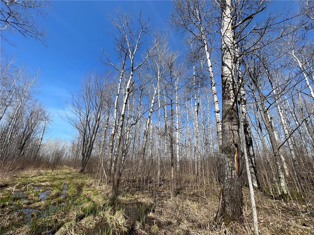 TBD Gulley Road Maple WI 54854 - Pearson Creek 7012529 image15