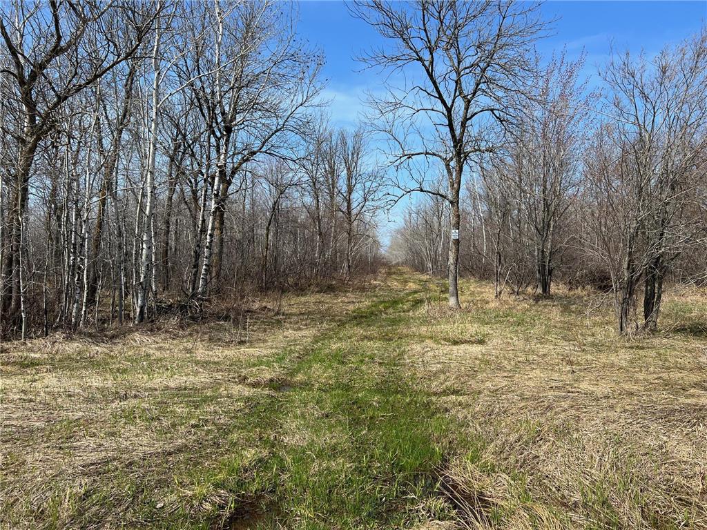 TBD Gulley Road Maple WI 54854 - Pearson Creek 7012529 image2