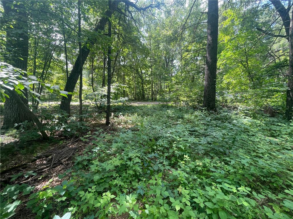 TBD Gumwood Ln Motley MN 56466 6572039 image1